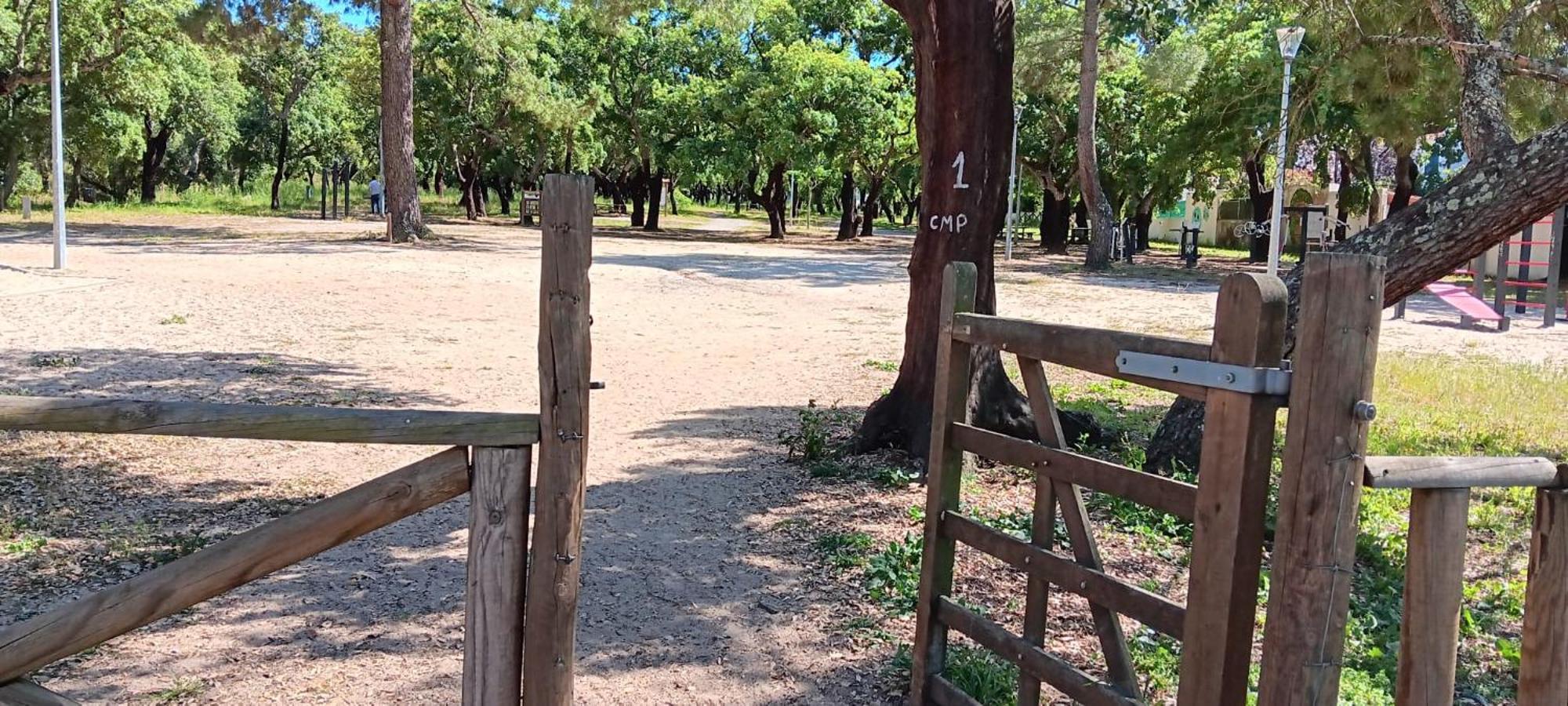 Villa Arrabida パルメラ エクステリア 写真